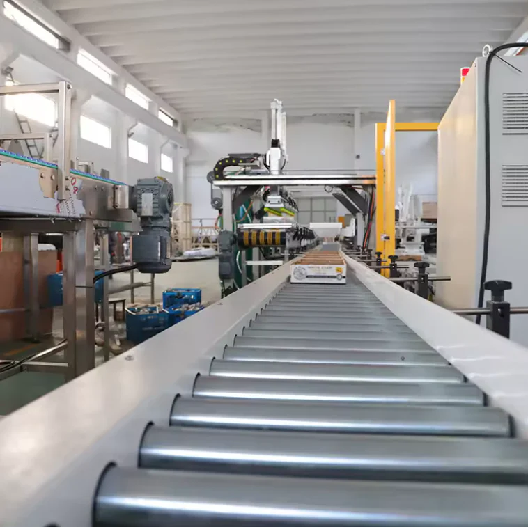 Conveyor Belts